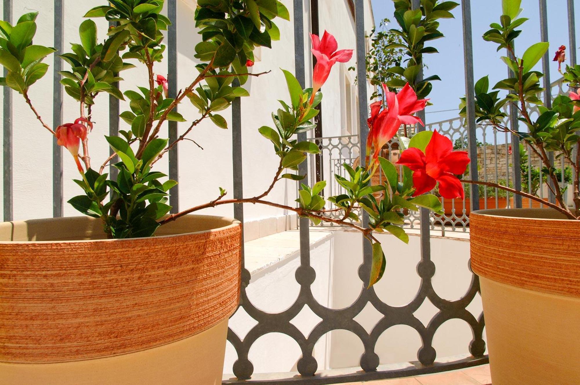فندق Relais Sant'Eligio أوستوني المظهر الخارجي الصورة
