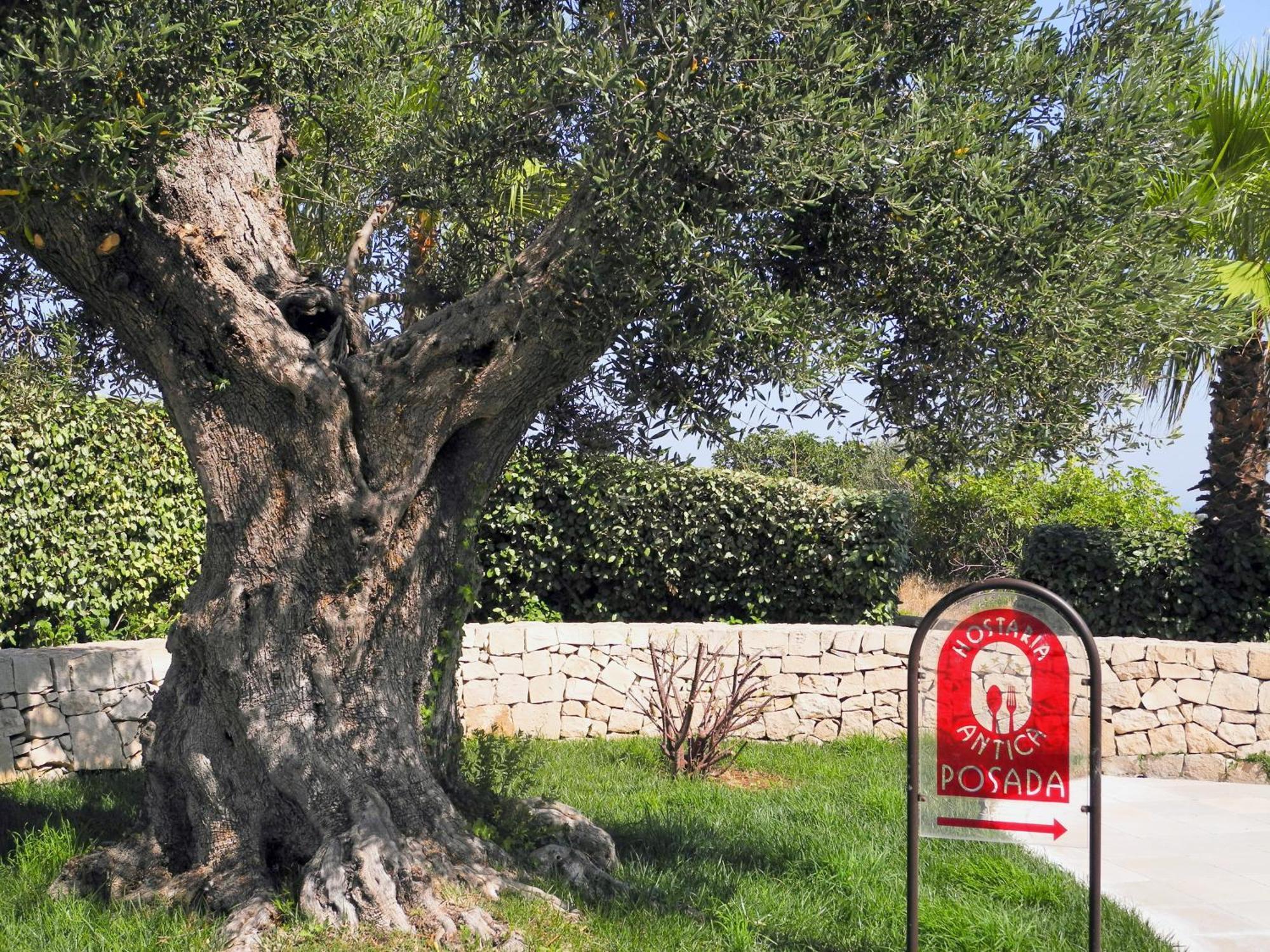 فندق Relais Sant'Eligio أوستوني المظهر الخارجي الصورة