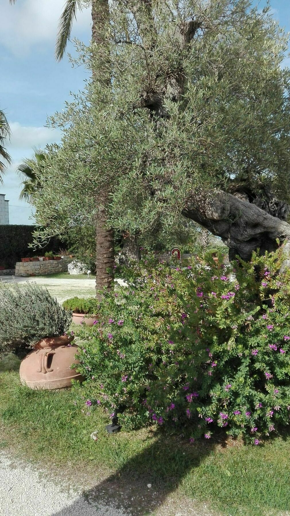 فندق Relais Sant'Eligio أوستوني المظهر الخارجي الصورة